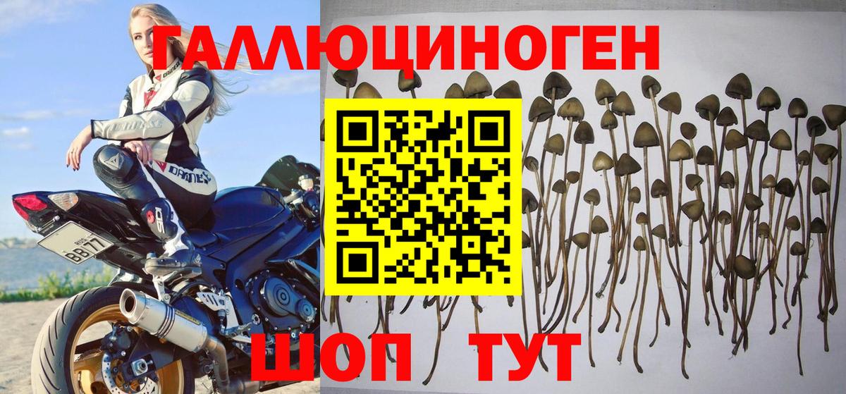 Галлюциногенные грибы MAGIC MUSHROOMS  Вход с VPN  Феодосия  Псилоцибиновые грибы Magic Shrooms 